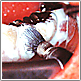 予防歯科のことなら東京都世田谷区成城のファーストデンタルクリニックにお任せ下さい。親切丁寧をモットーに毎日診療にあたっています。 予防歯科